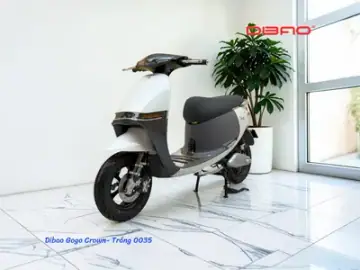 Dibao GoGo Crown góc 5