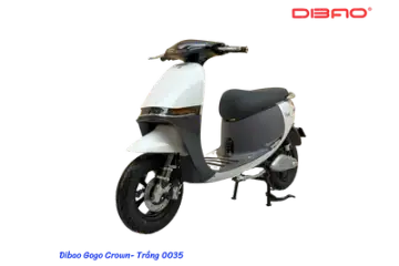 Dibao GoGo Crown góc 6