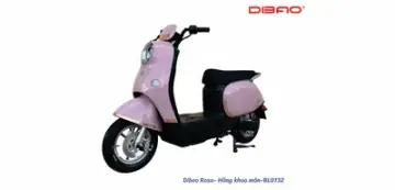 Dibao Rosa góc 5